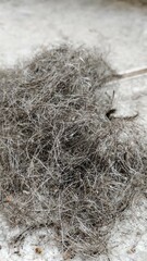 hair on the floor