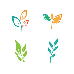 Green leaf illustration nature logo flat design template