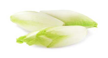 Raw ripe chicories on white background. Belgian endive
