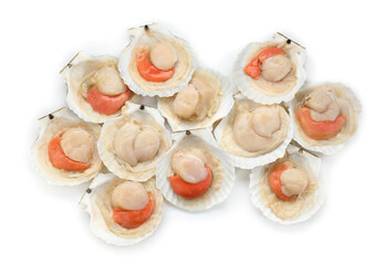 Many fresh raw scallops in shells isolated on white, top view