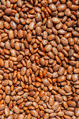 Rich Brown Symphony: Close-Up of Saturated Pinto Beans Texture