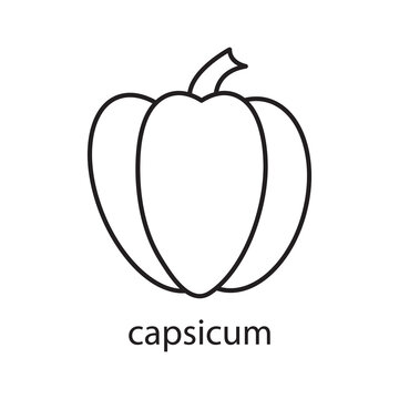 capsicum icon. vector simple flat liner capsicum icon on white background..eps