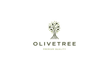 Olive tree logo design template flat vector