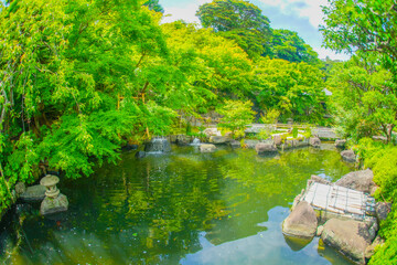日本庭園の池と滝