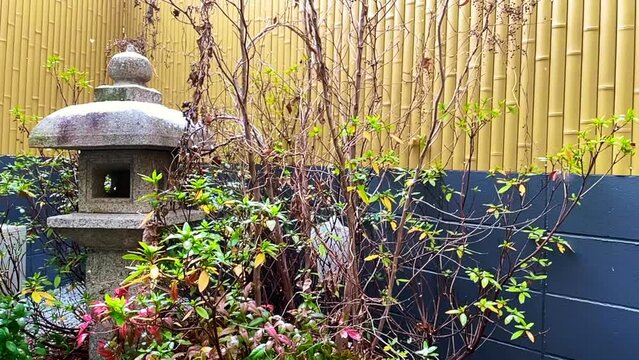 low motion snow fall in japan garden