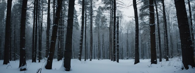 Panoramic winter forest landscape background from Generative AI
