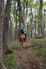 Riding the Wilderness: A Man and His Horse