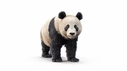 Foto op Plexiglas giant panda isolated on white background © iuliia