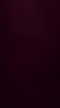 フィルムノイズ効果　縦型動画 9 ( 光漏れレンズフレア付き)