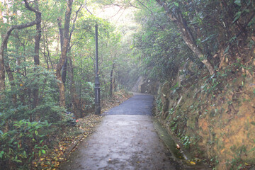Feb 28 2015 Road to forest, lugard road, Hongkong, China