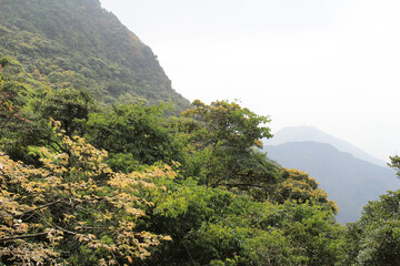 a landscape of the peak, hong kong