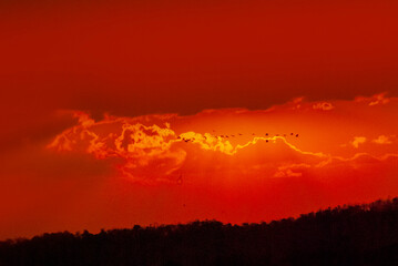 Obraz premium Scenic view dramatic beautiful sunset sky. Natural Sunset Sunrise on meadow silhouette shadow dark land. Vibrant dramatic sky on sunset, dawn, sunrise in Countryside. Landscape Colorful Sky At Sunset