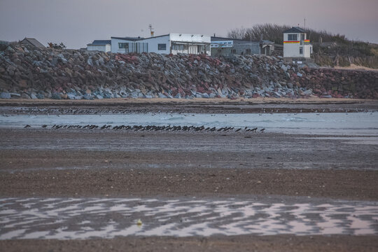 vue sur le haut de la cale de Blainville sur mer &agrave; mar&eacute;e basse