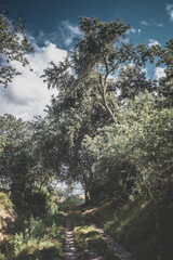 chemin donnant sur le havre de la Sienne