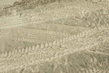 lines of tire tracks on sandy pacific northwest beach