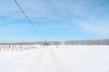 Fototapeta premium 銀世界への雪道