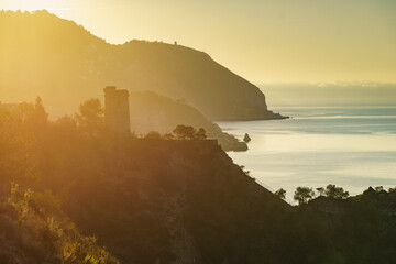 Coast view with Pine Tower, Andalusia Spain. - obrazy, fototapety, plakaty