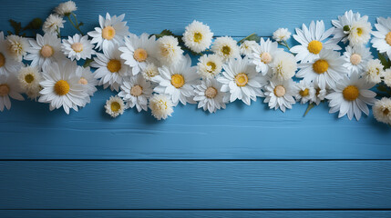 Obraz premium pring flower wallpaper collection with white and yellow Chrysanthemum on blue wooden.