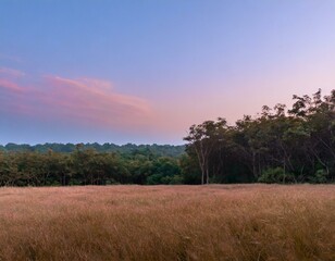 Fototapeta premium Capture the moment when the forest meets an open field. The sky blushes with pink and orange