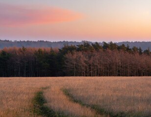 Obraz na płótnie Canvas Capture the moment when the forest meets an open field. The sky blushes with pink and orange