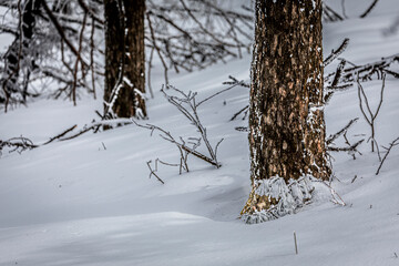 a snowy view of the mountains of winter