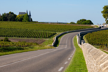 View on green vineyards, wine domain or chateau in Haut-Medoc red wine making region, Bordeaux, left bank of Gironde Estuary, France