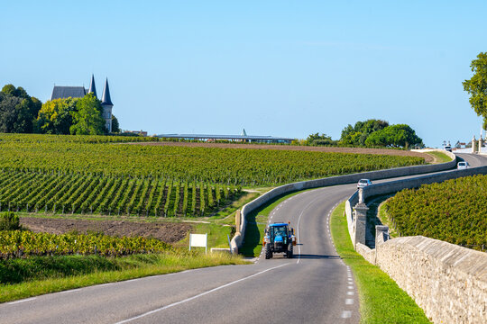 Fototapeta View on green vineyards, wine domain or chateau in Haut-Medoc red wine making region, Bordeaux, left bank of Gironde Estuary, France