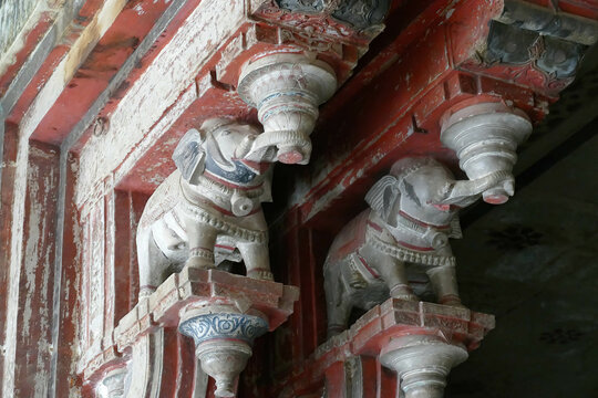 Elephant bracket capitals on columns