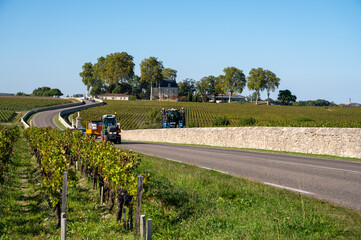 View on green vineyards, wine domain or chateau in Haut-Medoc red wine making region, Bordeaux,...