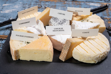 Tasting plate with small pieces of different French cheeses with name labels