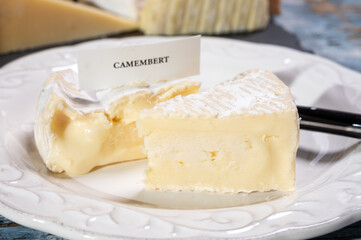 French soft Camembert cheese, original Camembert de Normandie, close up with white mold