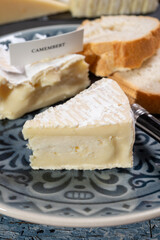 French soft Camembert cheese, original Camembert de Normandie, close up with white mold