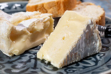French soft Camembert cheese, original Camembert de Normandie, close up with white mold