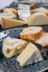 French soft Camembert cheese, original Camembert de Normandie, close up with white mold