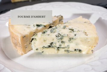 Cheese collection, piece of French blue cheese auvergne or fourme d'ambert