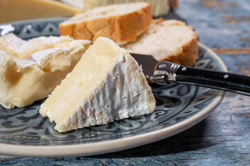 French soft Camembert cheese, original Camembert de Normandie, close up with white mold