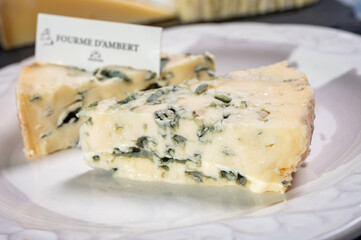 Cheese collection, piece of French blue cheese auvergne or fourme d'ambert