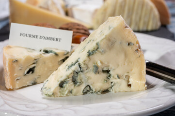 Cheese collection, piece of French blue cheese auvergne or fourme d'ambert