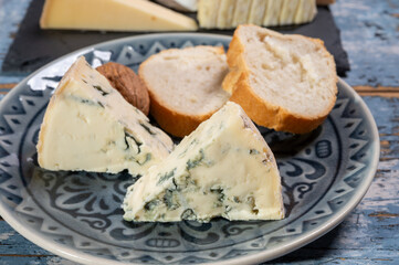 Cheese collection, piece of French blue cheese auvergne or fourme d'ambert