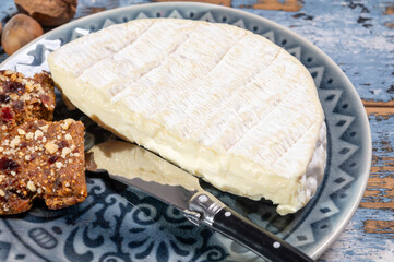 French soft Camembert cheese, original Camembert de Normandie, close up with white mold
