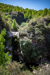 Obraz premium waterfall in the forest