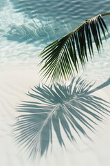 Summer vacation background with tropical palm leaf shadow on white sand beach