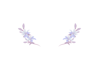 Lily floral frame ornament banner isolated on transparency background