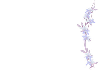 Lily floral frame ornament banner isolated on transparency background