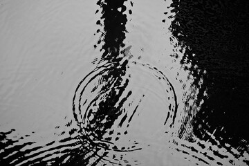 水面に広がる波紋