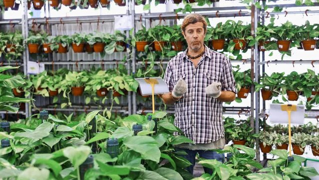 Salesman posing with pothos tutor plant at flower shop. High quality 4k footage