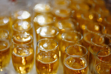 Close-up of multiple glasses filled with bubbly golden champagne, bubbles. Concept for celebrations, New Years Eve parties, or upscale events.