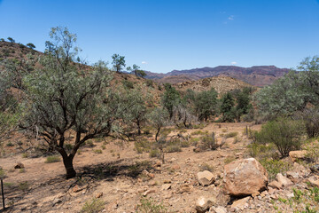 Scenery along the Parachilna Gorge Road in the Flinders Ranges National Park