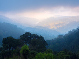 Sunshine illuminates a beautiful mountain surrounded by the mist of the rain forest in Thailand.