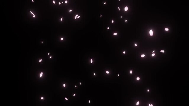 Cherry blossom petals falling particle animation (PNG Background) - (4K_60fps)	